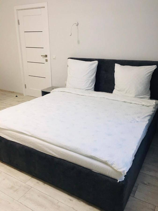 Apartment Edelweiss Oujhorod Extérieur photo